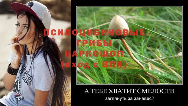 винт Алексеевка