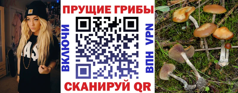 Галлюциногенные грибы ЛСД  Дмитриев 